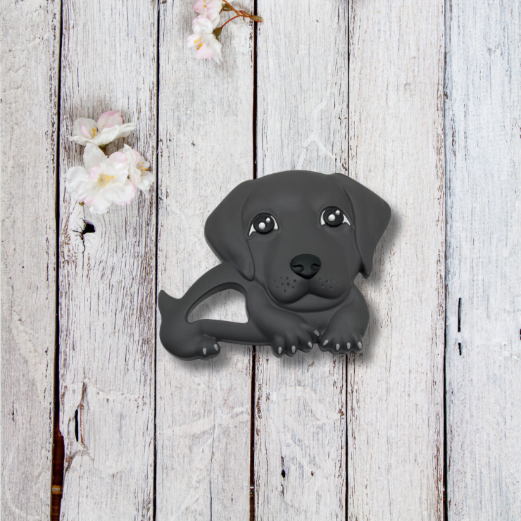 Jouet de dentition-Chien-labrador