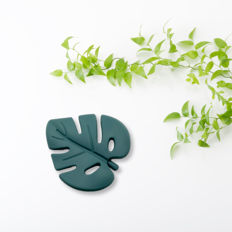 Jouet de dentition-Feuille